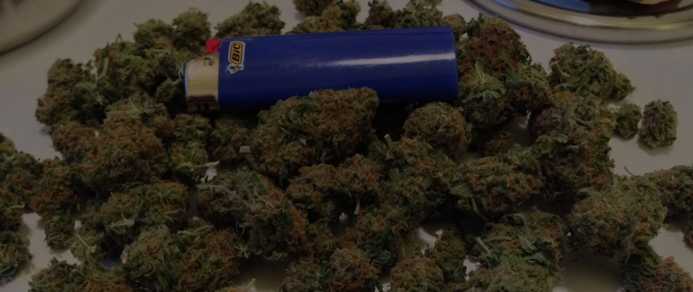 Make Your Moments Fly Away